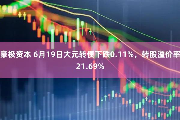 豪极资本 6月19日大元转债下跌0.11%，转股溢价率21.69%