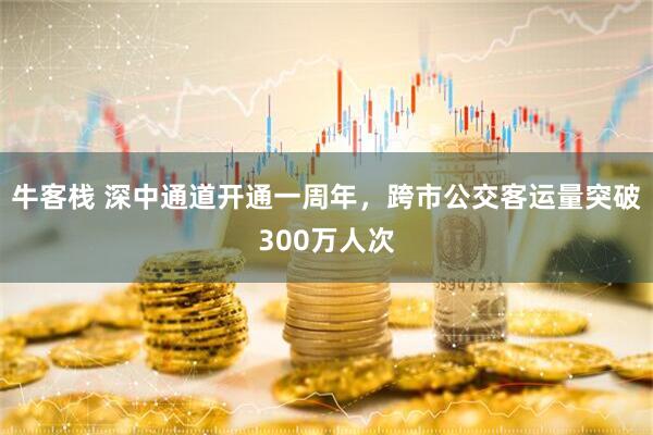 牛客栈 深中通道开通一周年，跨市公交客运量突破300万人次