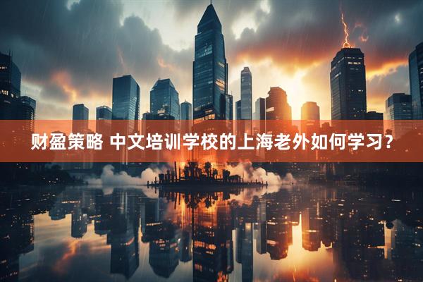 财盈策略 中文培训学校的上海老外如何学习？