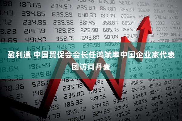 盈利通 中国贸促会会长任鸿斌率中国企业家代表团访问丹麦
